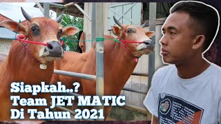 Apa benar sapi Bintang Lecen sudah tidak mampu mengimbangi Toporron JM