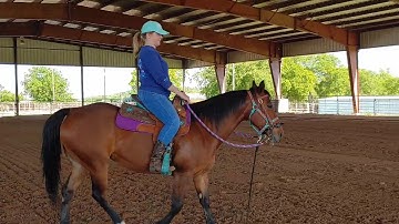 Adult Beginner Riding lessons - Balance, one rein stops and circles for control