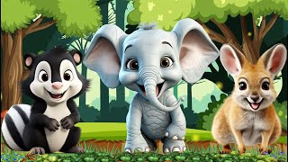 Wild Animal Kangaroo, Elephant, Squirrel - Wild Animal Live