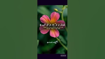 #تلاوة #اكسبلور #المصحف #القرآن_الكريم #الشيخ_ياسر_الدوسري #yasseraldossary #الحمد_لله