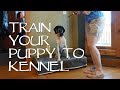 Collar Condition to Kennel - Upland Bird Dog Training Collar Condition to Kennel - Upland Bird Dog Training