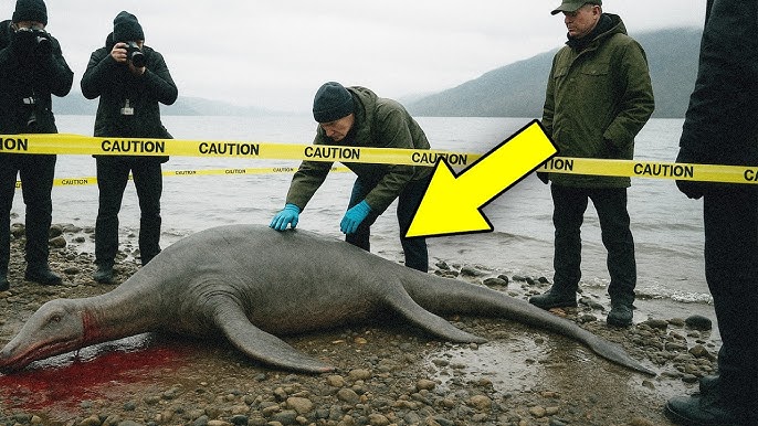 Loch Ness Mystery Finally Solved in 2025