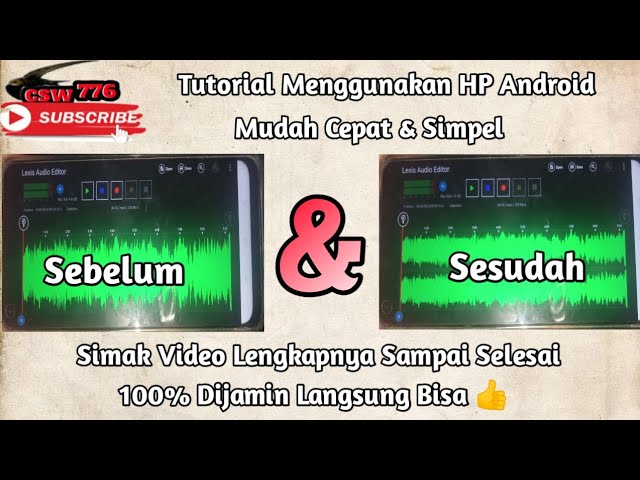 CARA Merubah SUARA WALET MONO Menjadi STEREO - CARA EDIT SUARA WALET Menggunakan HP Android class=