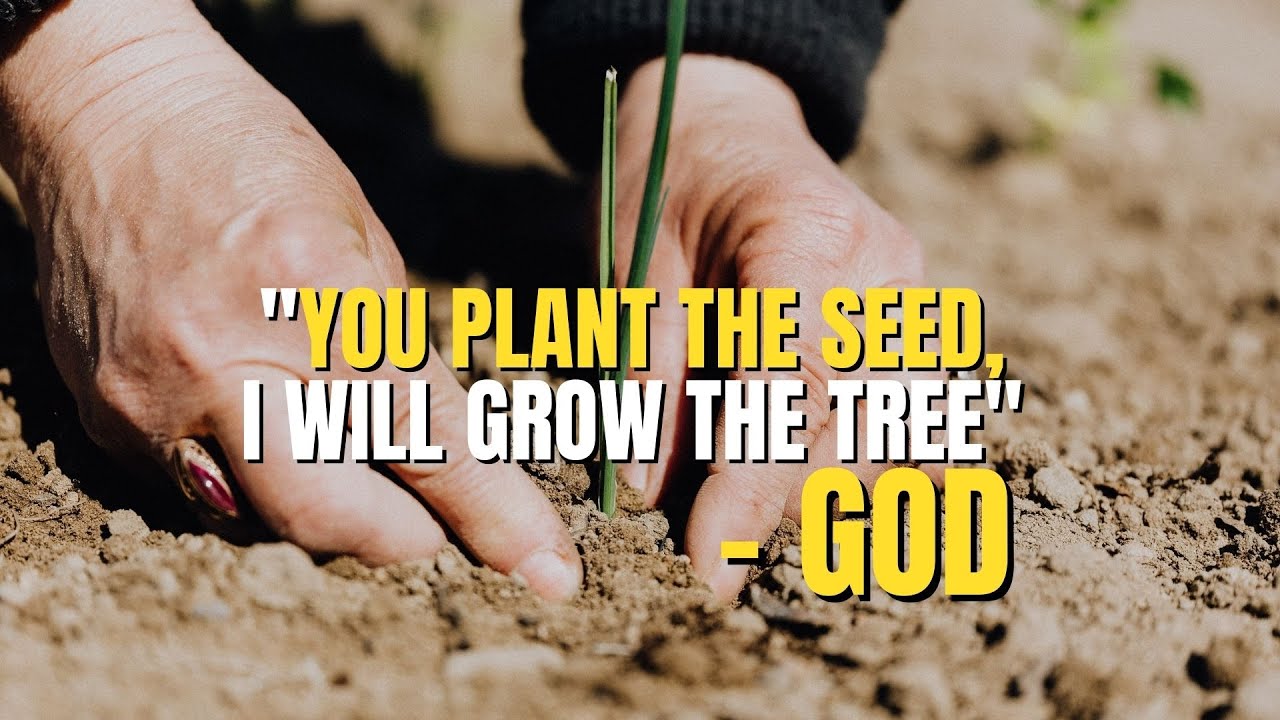 God Say's "You Plant The Seed & I Will Grow The Tree" Words of Wisdom