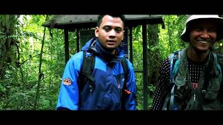 MENGENAL BURUNG ( SPESIES LANGKA ) LUNTUR GUNUNG BERSAMA PANJI PETUALANG