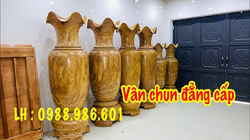 🔴 Giới thiệu 3 đôi lục bình gỗ Cẩm vàng cao 1.8m - 2.2 m .LH : 0988.986.601