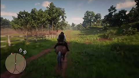 Ay ya boy Pollo can’t see