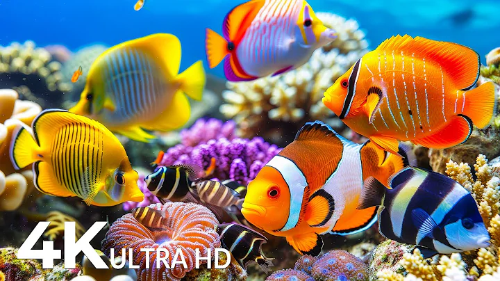 Marvel at Sea Animal in The Best 4K ULTRA HDR Aquarium - Dive Into The Mesmerizing Underwater Realm