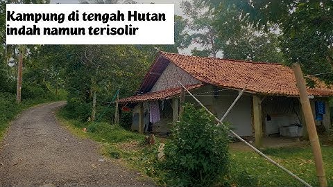 Suasana Kampung di tengah hutan yang adem tentram bikin betah | Rural Life | WADAS GUMANTUNG Brebes