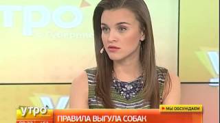Правила выгула собак. Утро с Губернией. GuberniaTV(, 2016-04-29T03:01:17.000Z)