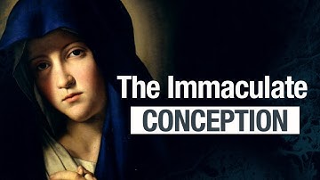 Immaculate Conception Explained!