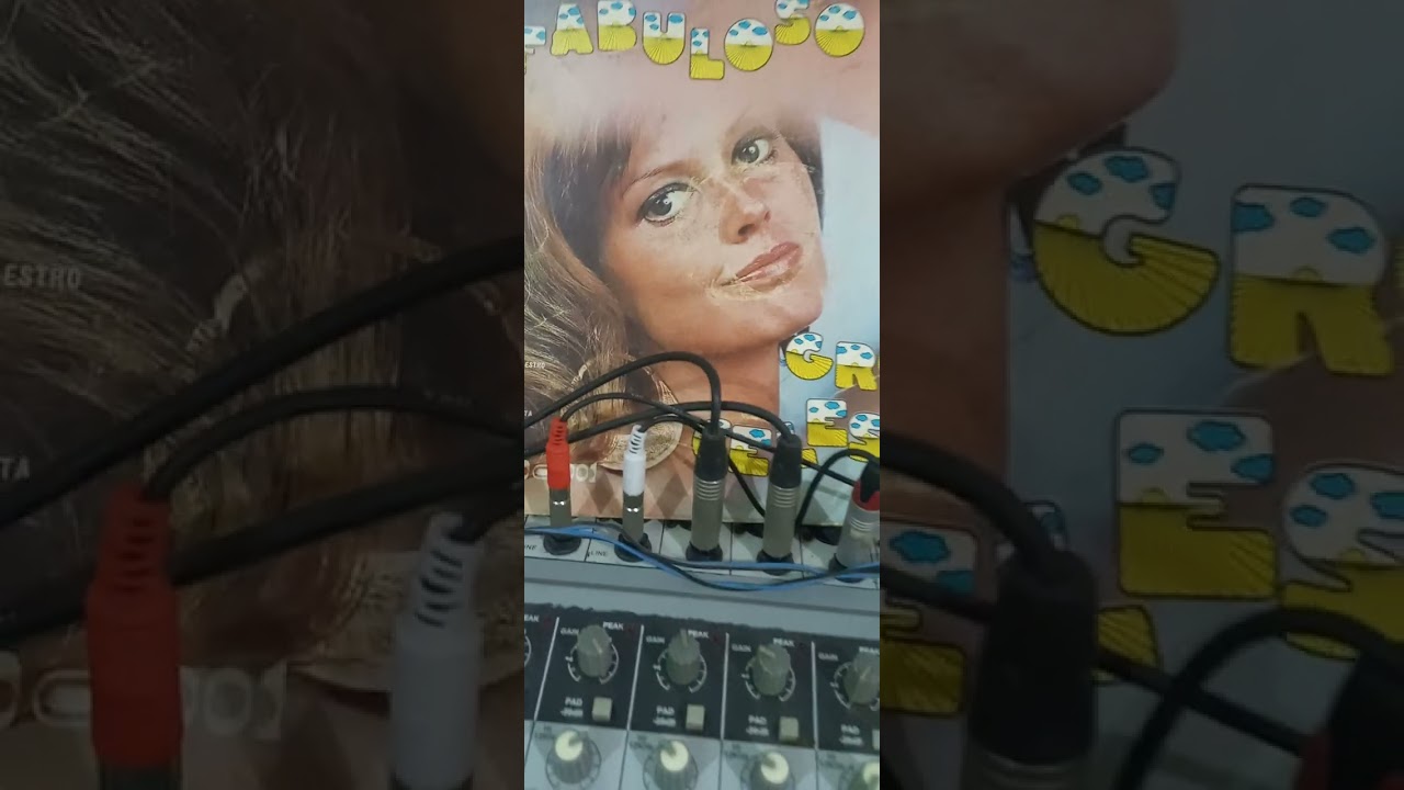 Tu Retrato _ Grupo Celeste _ Disco de Vinilo 33 RPM