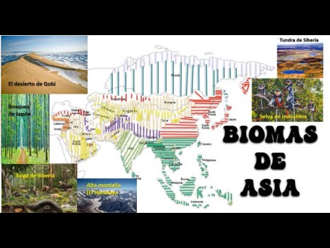 Biomas de Asia. 2021