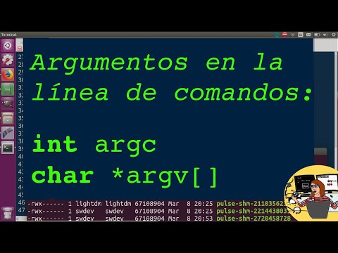 Video: ¿Qué son los argumentos de línea de comando C #?