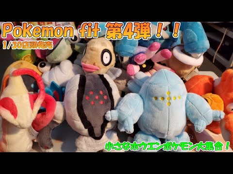 ポケモン - ポケモン　ポケモンセンター　ポケモンfit　ホウエン地方　まとめ売り 本日発売のホウエン地方のポケモンfit、購入しました🌟 みんな
