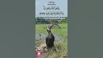 وبالحق انزلناه وبالحق نزل | سورة الإسراء #دعاء_ورسالة Surah Al-Isra