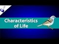 Defining Life Characteristics Through a Nature Walk