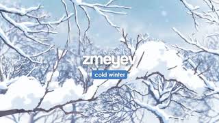 Zmeyev - Cold Winter