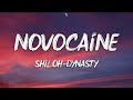 Shiloh dynasty  novocaine lyrics