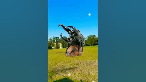 😱Strenge 😡ganit bug 🪲#shorts #shortvideo #viralvideo #virelshorts #video #map #earth