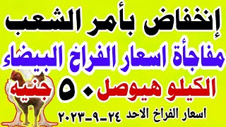 اسعار الفراخ البيضاء اليوم  | سعر الفراخ البيضاء اليوم الاحد 24-9-2023 جمله وقطاعي