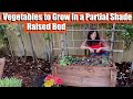 Vegetables To Grow in a Partial Shade Raised Bed Garden