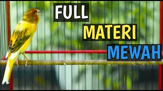 Download Lagu Full materi mewah, masteran kenari mewah , kemarin gacor MP3 Download Lagu Full materi mewah, masteran kenari mewah , kemarin gacor MP3
