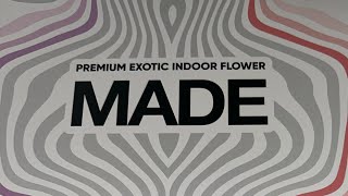 Strain Appreciation: Breeze by MADE (Made For Smokers)