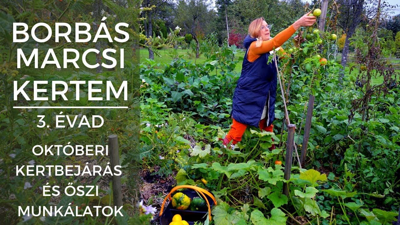 Borbás Marcsi - Kertem:  Októberi kertbejárás és őszi munkálatok