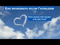 "Представьте тела ваши в жертву живую". И. Л. Липатников. МСЦ ЕХБ