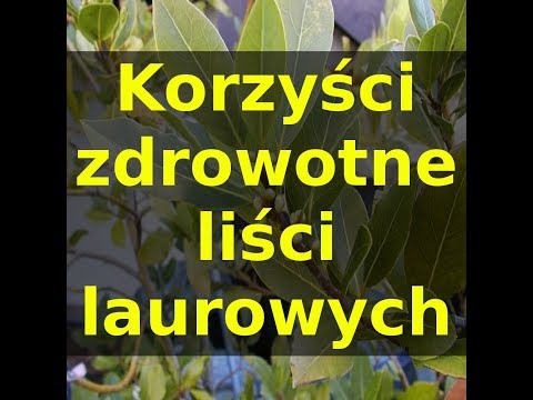 Wideo: Liść Laurowy: Potencjalne Korzyści Zdrowotne, Odżywianie I Skutki Uboczne