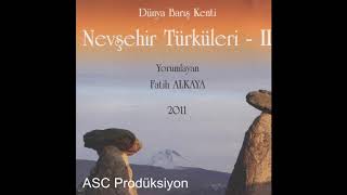 Fatih ALKAYA - Çekmecemin Perçini Resimi