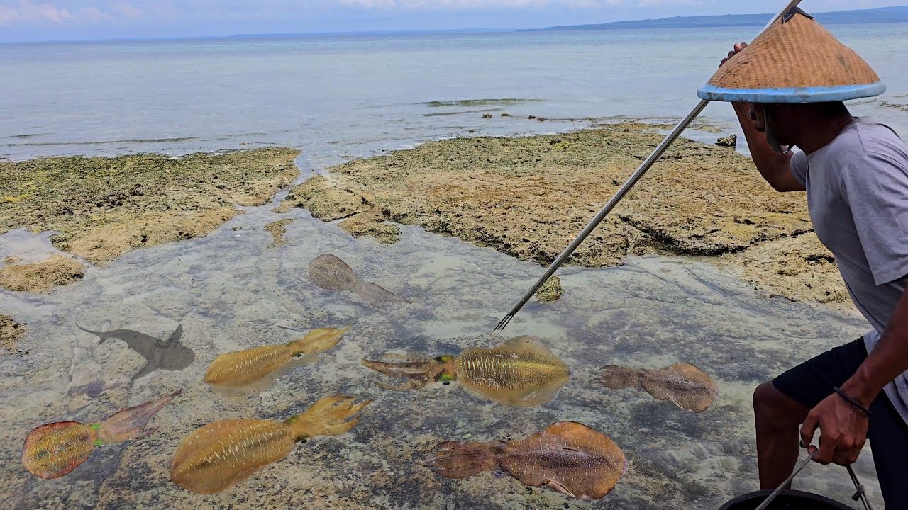 PULAU TERPENCIL Banyak Cumi-cumi dan Ikan saat air surut, Makan di Pantai