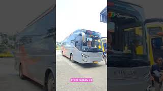 28 Sopir Bus Miyor Siap Jemput Bus Suite Class Dan Suite Combi  shorts