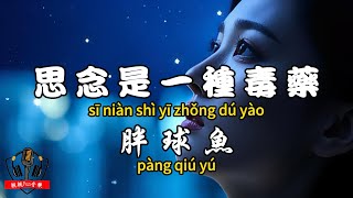 Fat Ball Fish - Missing You is a Poison [Traditional Chinese Pinyin Dynamic Lyrics] [CC Subtitles]