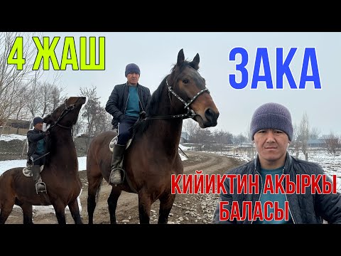 Video: Сиз кийиктин жумурткаларын инкубациялай аласызбы?