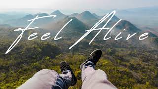 David Curry - Feel Alive (Official Audio)