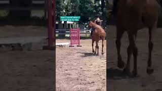 OOPS/#subscribe #like #funny #funnyvideo #horse #horseriding #equestrian #horsegirl