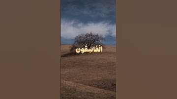 ما تيسر من القران الكريم.. #اكسبلور #المصحف #لايك #القران_الكريم #fyppppppppシ