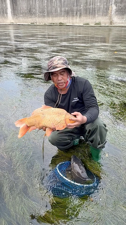 Pinaliwanag Ni kuya kung bakit mabilis makahuli ng isda sa ilog