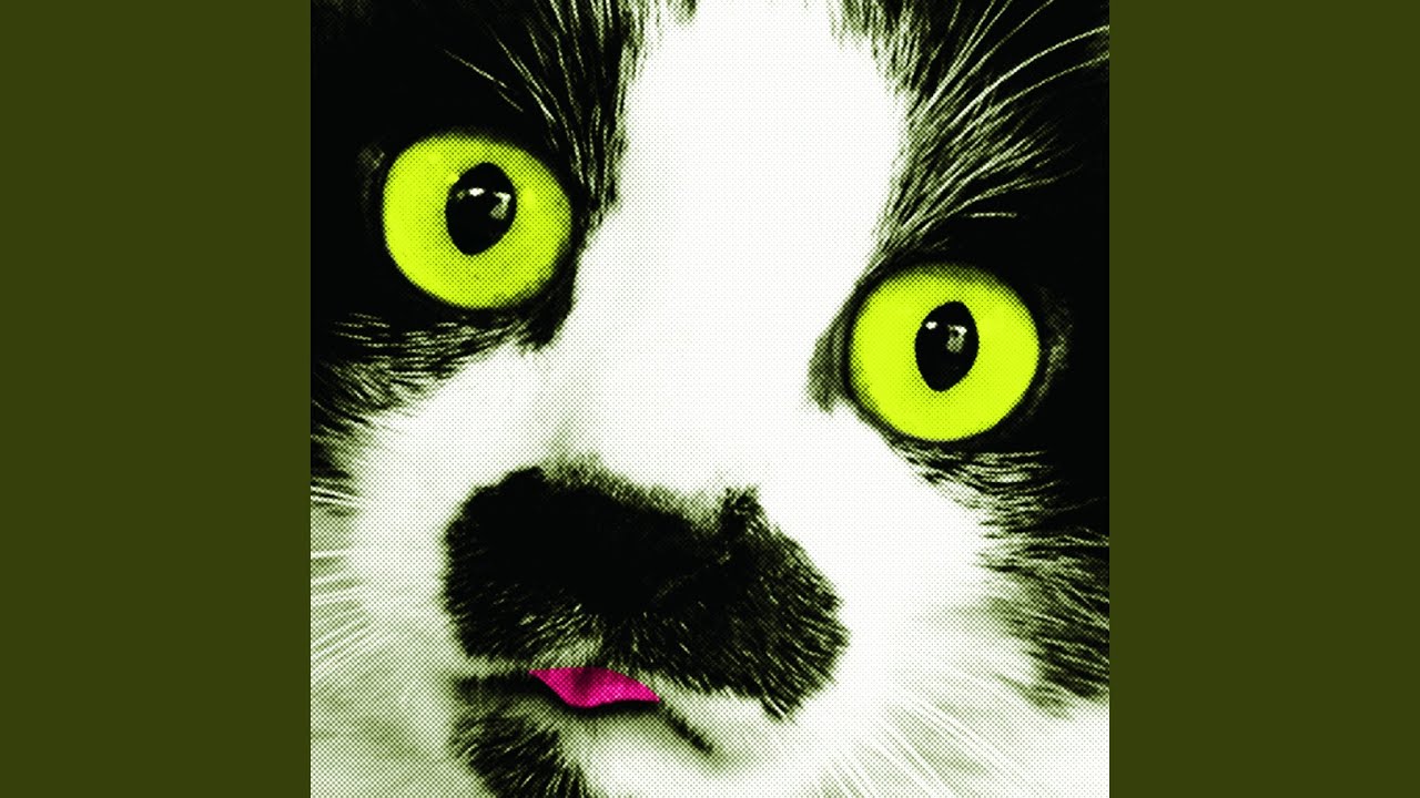 石神井川であいましょう