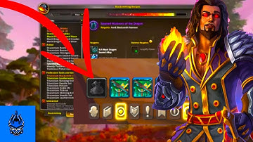 New UNIVERSAL PROFESSION BAG in DRAGONFLIGHT - Keep Profession Items Organized Within Your Bags