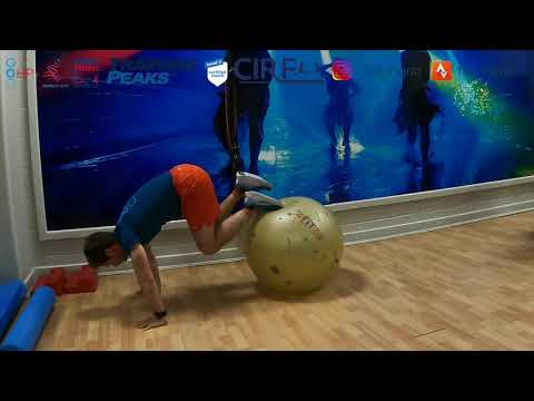 Gym ball single leg pike