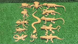 Lizards Kings Vs Tiny Bugs Discover Amazing Insects & Reptiles For Kids