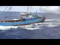 領海侵犯、海賊漁船　（sengoku88アップロード）