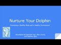 Nurture your dolphin  2021 sdhacks