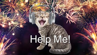 Fireworks Got Your Cat Panicking Try This
