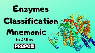 Enzymes Classification & Examples Mnemonic in 2 mins