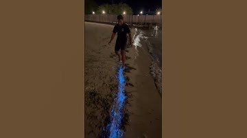 Thumbnail of Bioluminescent Plankton Glow on Beach in the Maldives || ViralHog