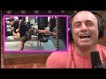 Joe rogan on teaching taekwondo